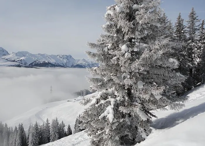 公寓 安娜木屋公寓